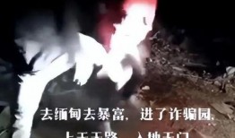 缅北电信真实爆料视频,真实爆料视频背后的黑暗真相